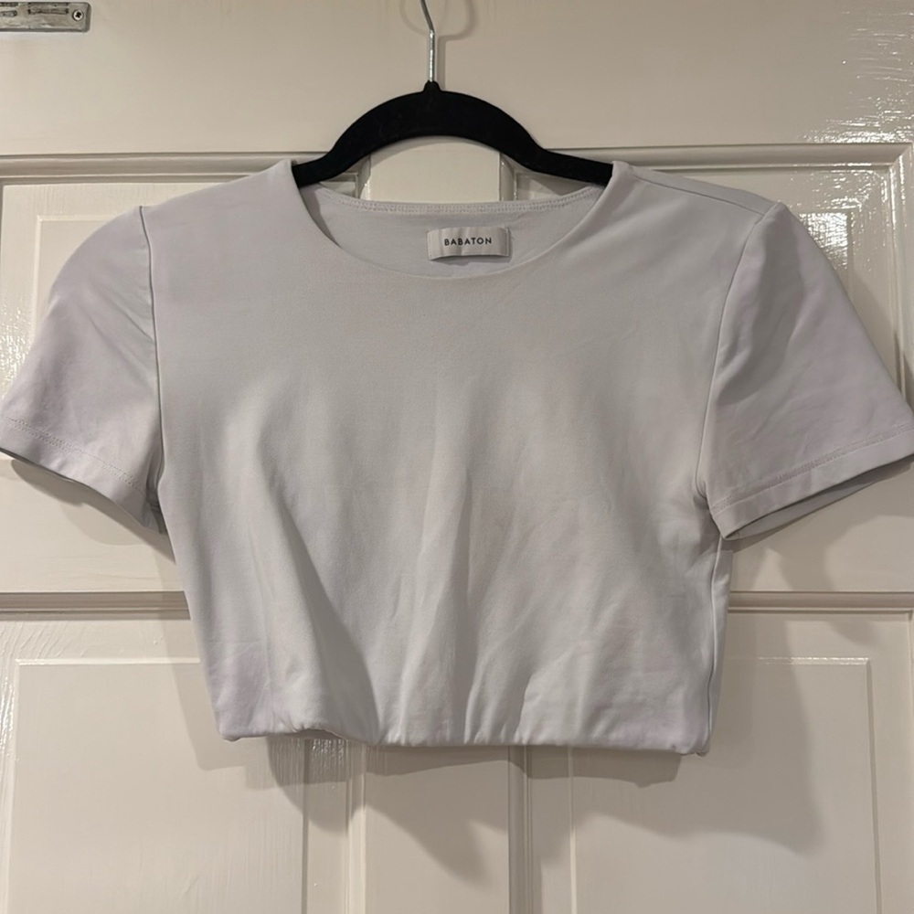 Aritizia cropped t shirt